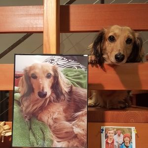 Meet your Posher, Beverly